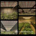 1000W LED 2.8 Plant Grow Light 6 tum